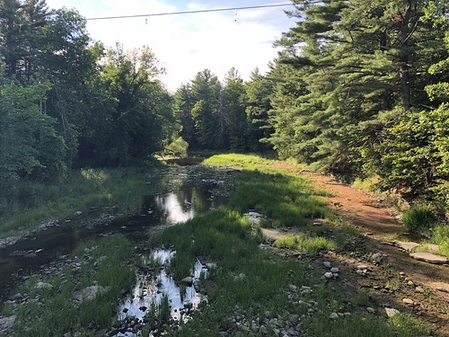 Fitzroy Provincial Park - view from the bridge