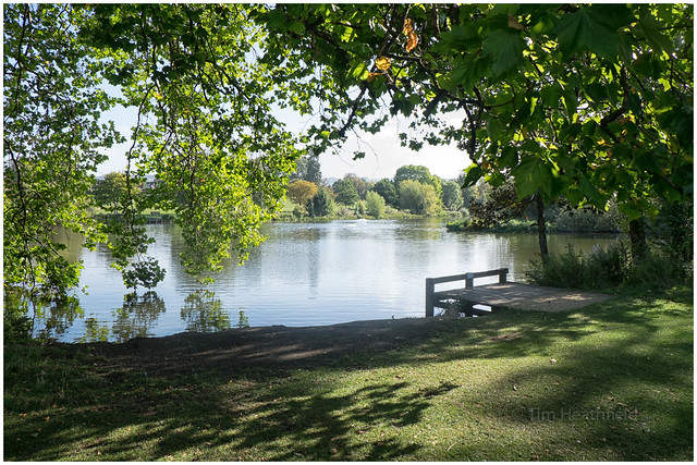 Cheltenham: Peaceful Pittville Park