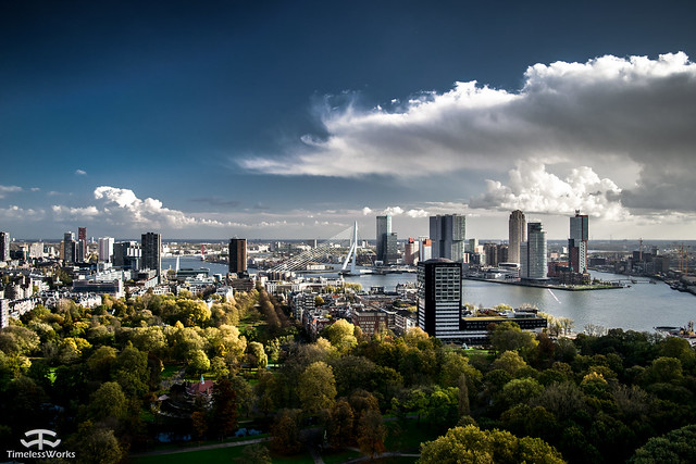 Rotterdam landscape