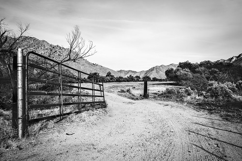 solemn landscape bushes dirtroad blackwhite quiet california forgotten monochrome farm alone trail sky creepy abandoned hills brush field onyx unitedstates us