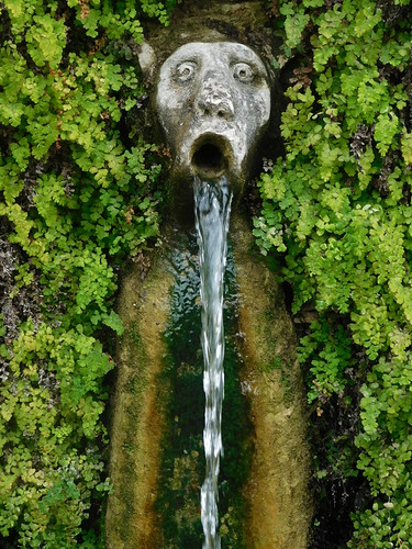 Interesting fountain face - Le Cento Fontane (The Hundred Fountains) - Villa d'Este - Tivoli | by litlesam1