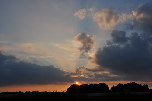 sunset sun countryside coucherdusoleil evening silhouette silhouettes treesilhouette treessilhouettes treesilhouettes sky skies