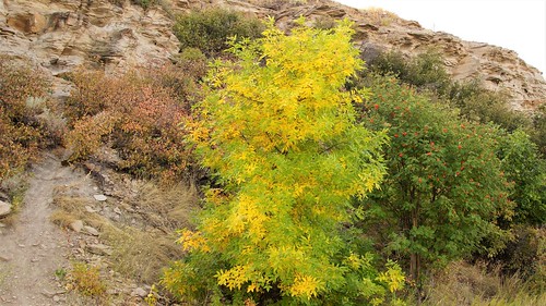 giant springs montana state parks missouri river fall leaves
