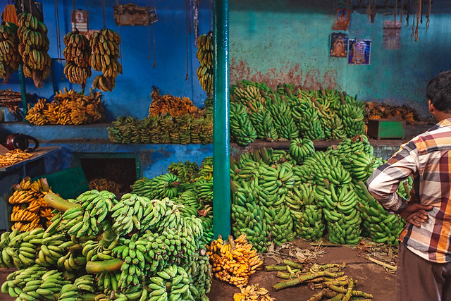 Bananas. Mysore, India