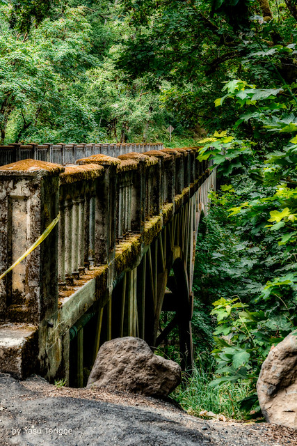 Bridge at Latourell Falls Portland OR USA-12a