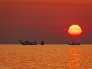 Sunrise on the Adriatic sea with seagull and boats