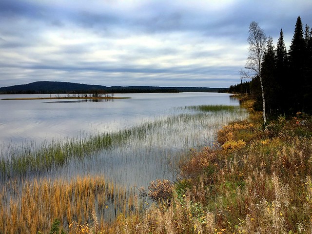 Landscape in northern Sweden