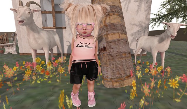 Look 24  ✿ Little Friend Clothes and Poses ✿