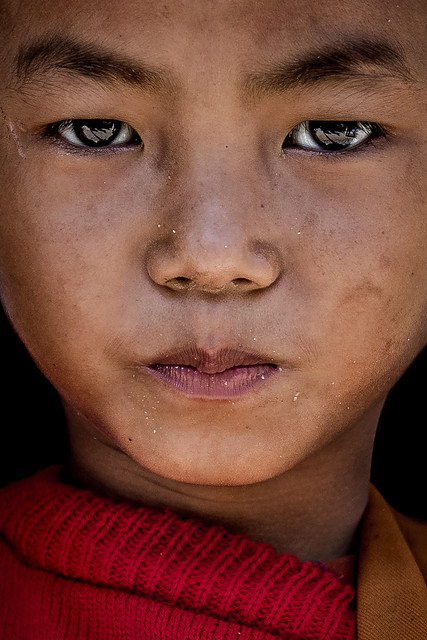 Portrait of a Burma monk