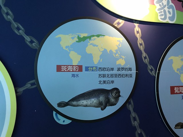 2018 CCA Investigation into Guangzhou Grandview Aquarium