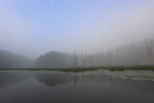 mist love amour change sadness evocative gmayster01 gmayster metaphoricalphotography silence shifting canoeing sunrise nature quebec canada guymayerphotography serene annielennox music achingheart flickr