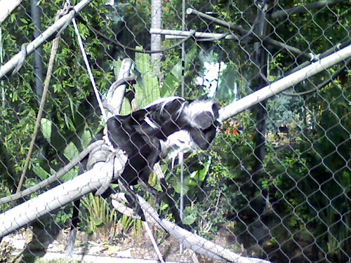 Multimedia message | by triptogn