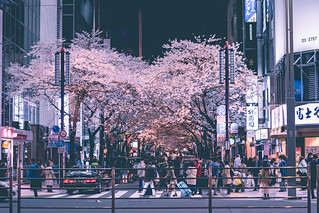 Yaesu Sakura Dori - Tokyo, Japan | **PLEASE DO NOT POST TO Y… | Flickr