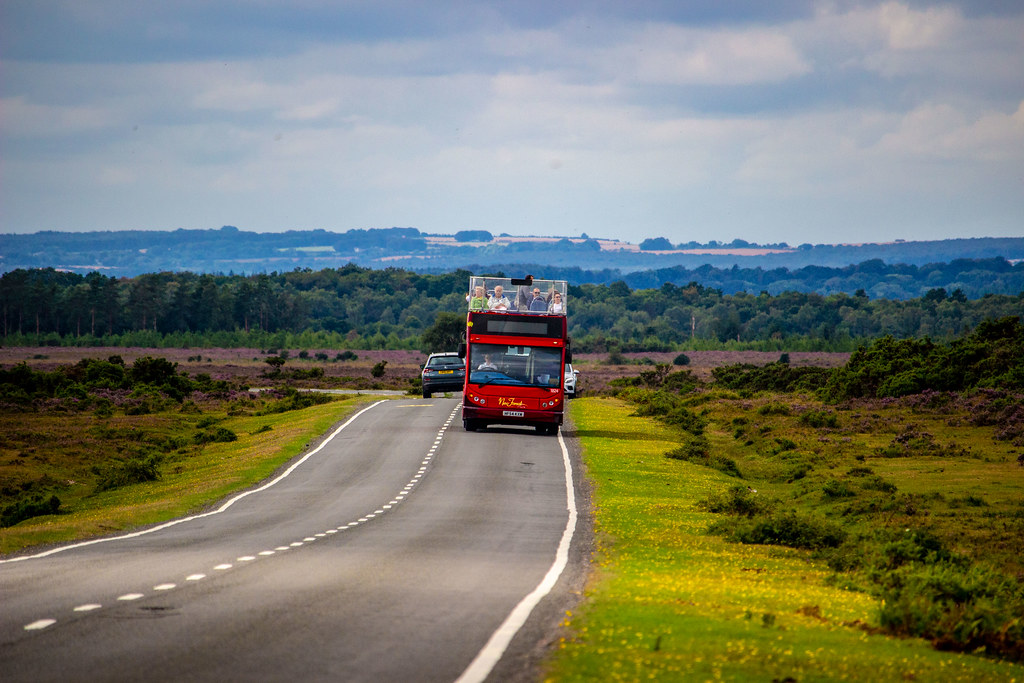 new forest tour bus red route