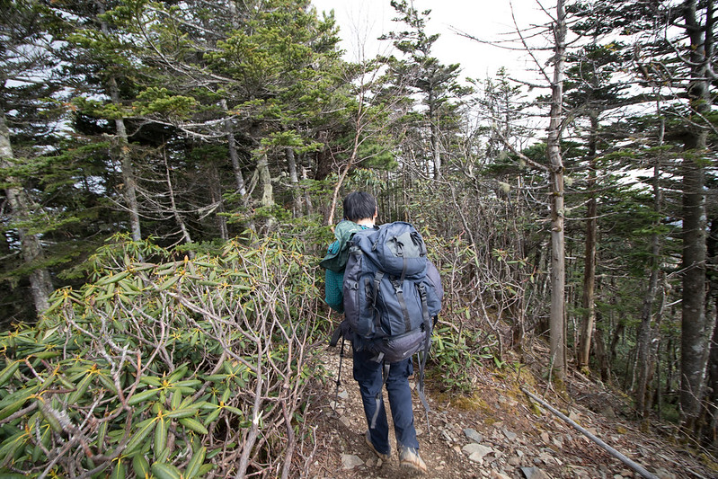 甲武信岳 山頂