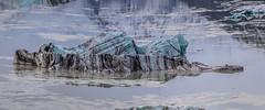 Tasman Lake & Glacier-21