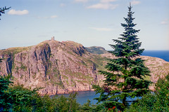 Newfoundland/Talamh an Éisc (2001).