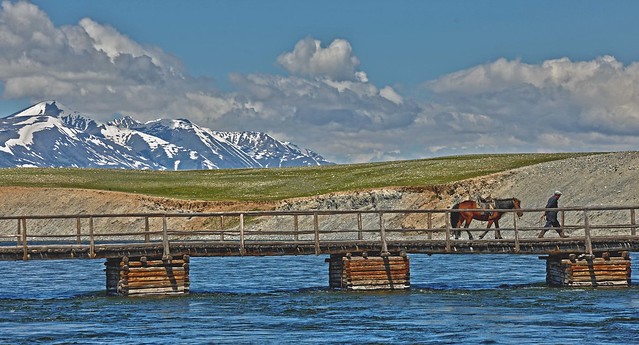 River Crossing Western Mongolia DSC_1736