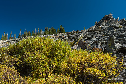 bighornmountains bighornnationalforest wyoming september fall autumn nikond750 hessemountain blue sky sunny color colorful foliage yellow gold golden talus boulders trees tamron2470mmf28 circularpolarizer scenic view