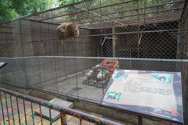 2018 CCA investigation into Nanning Zoo