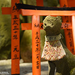 Inari (fox deity) at Fushimi Inari-Taisha Shrine, Kyoto