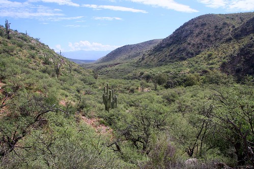 2016 arizona cacti coronadonf desert gps landscapes mountains nationalforests panoramio pimacounty saguarocactuscarnegieagigantea sanpedrorivervalley santacatalinamountains usa unitedstatesofamerica