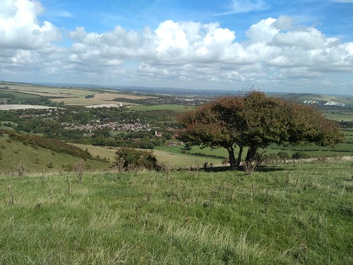 Kingston from the Downs 