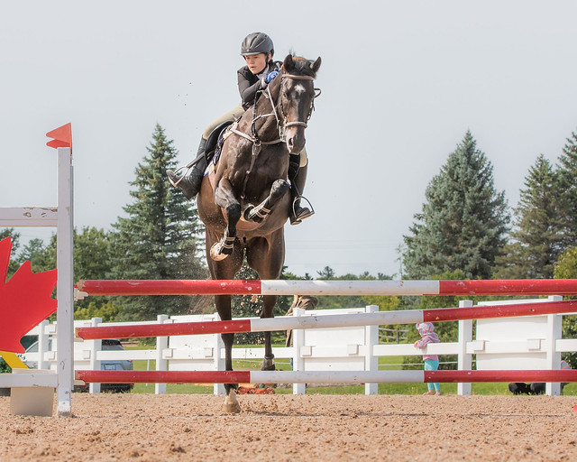 Wesley Clover horse jumping 2018-306.jpg