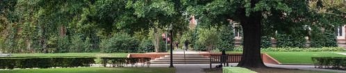WIDE shot students on campus