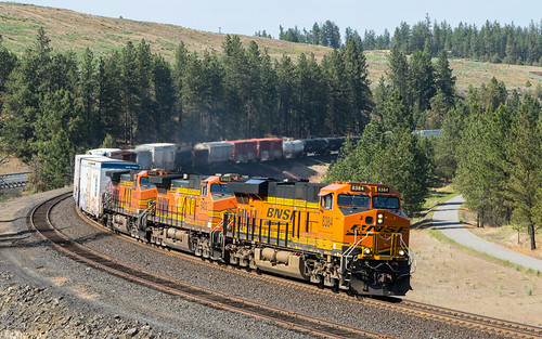 BNSF 8384 at Scribner, 