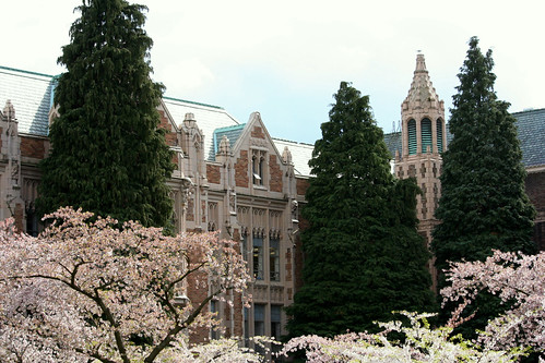 Uw Spring University of Washington Spring | Cherry blossoms from 30 ma… | Flickr