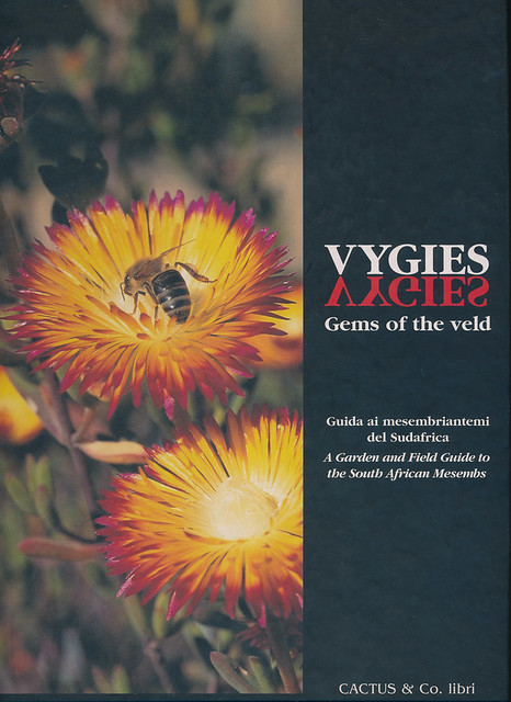 Vygies, Gems of the veld