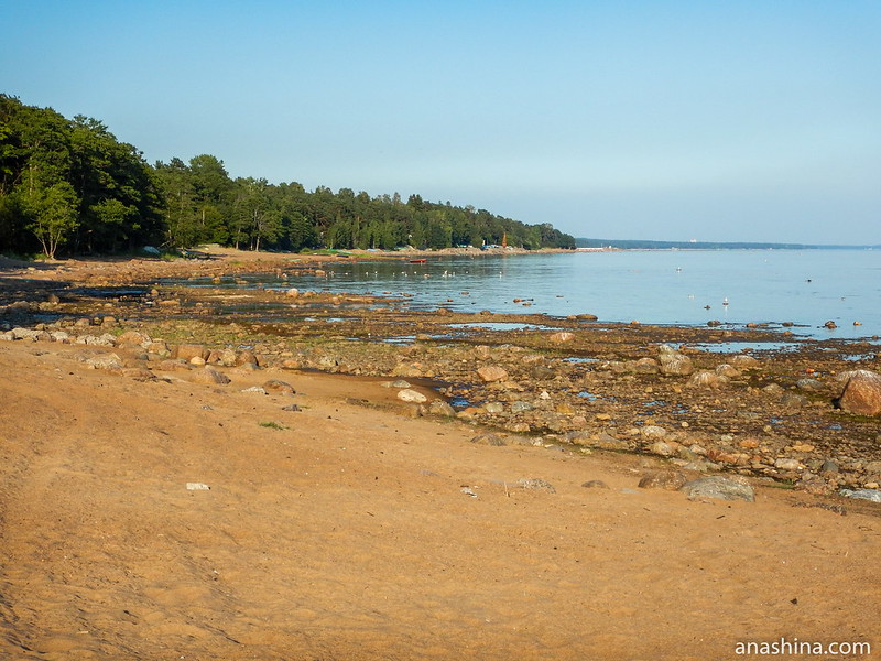 Финский залив Балтийского моря, Зеленогорск