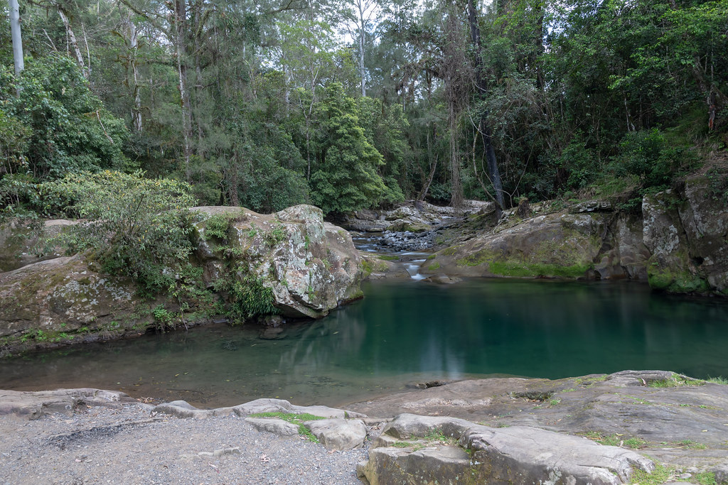 Flowing River Stream and Rainforest | Taken on the Allyn Riv… | Flickr
