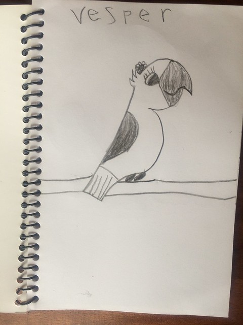Vesper's lovely toucan drawing