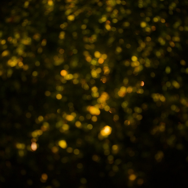 maybe this is bokeh