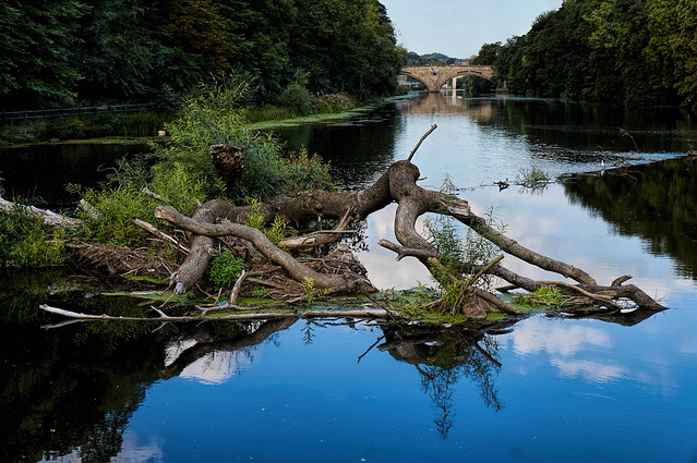 River Wear, Durham.