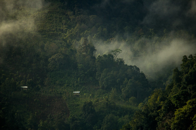 Kerinci Valley, Sumatra, Indonesia