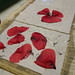preparing poppies paper ecoprinting