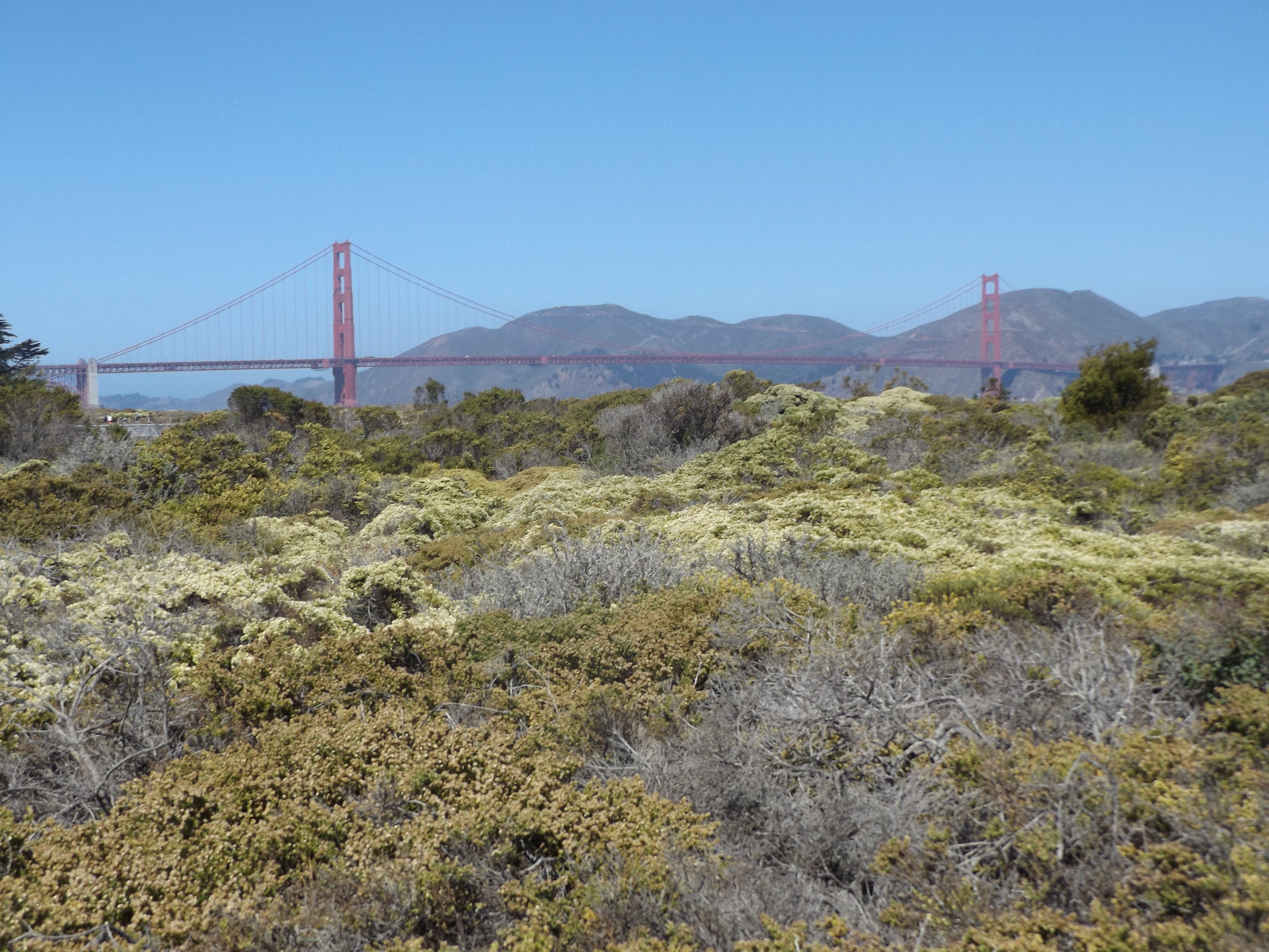 Golden Gate Bridge from Crissy Field, San Francisco, California, USA, 10 September 2018