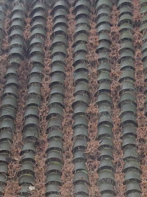 Gate (roof tiles) Wanborough to Godalming Watts Chapel