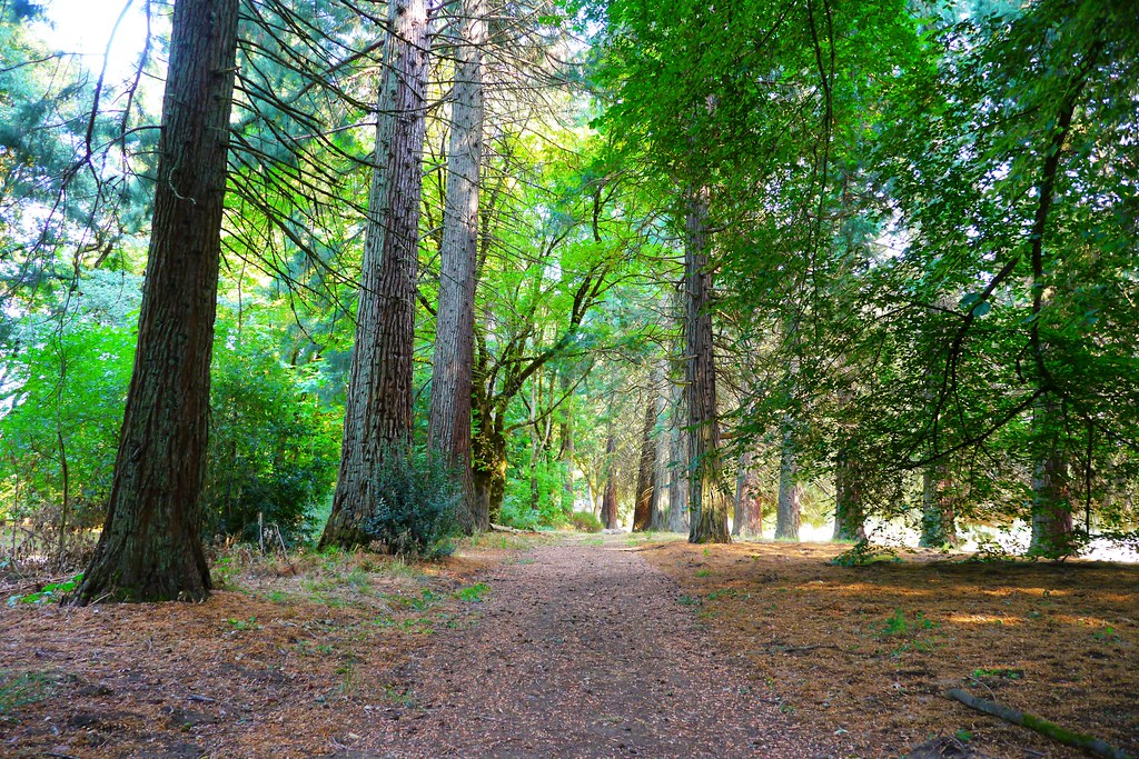 Champoeg Bike Path, near Furs, Pelts, and Hides