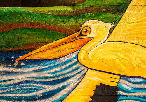 pelican mural