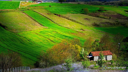 field karamürsel kocaeli landscapephotographer landscapephotography naturephotographer naturephotography türkiye istanbul