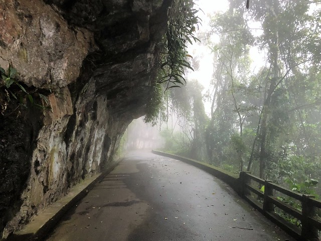 Estrada das Paineiras