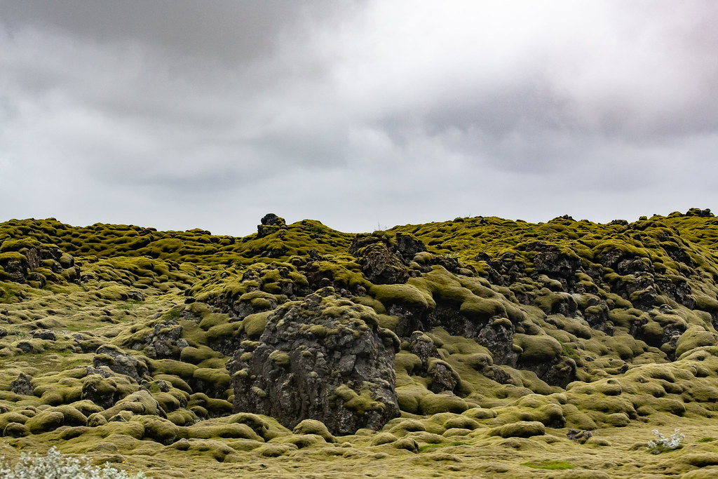 Xen Riggs Eldhraun Iceland | Xen Riggs | Flickr