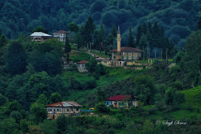 Trabzon / Araklı