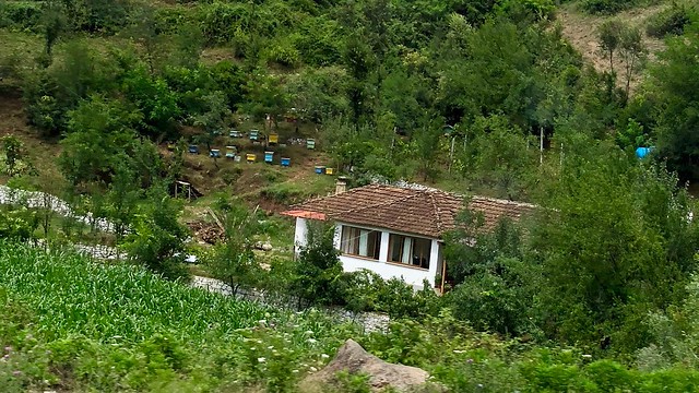 Albania- Countryside houses