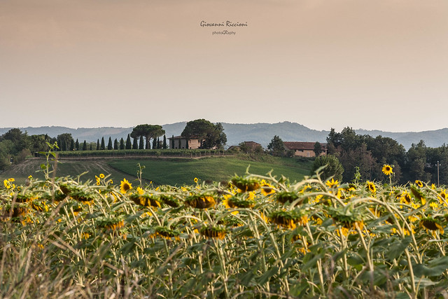 Tuscany frames|Siena|Italy