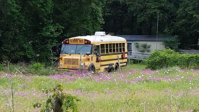 Ex-Alachua District School Bus | 1993 Thomas/International V… | Flickr
